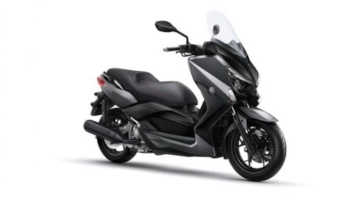 Xmax 250 (2010-2017)